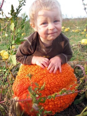 Kenton at the pumpkin patch