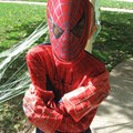Spider-Sam