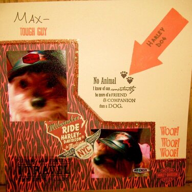 Max, the Harley Dog