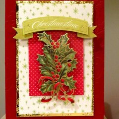 Christmas Card Dressed in Pretty Red