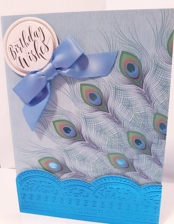 Peacock Collection Cardstock