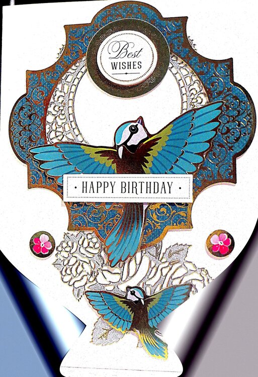 Birds Bringing Good Birthday Wishes