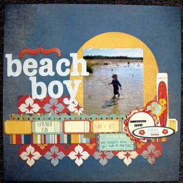 beach boy