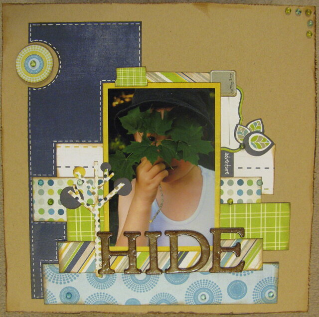 HIDE