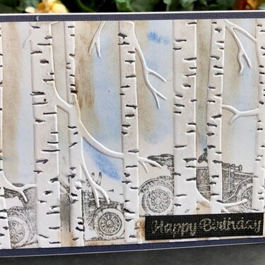 DS#2 Birthday card 2020