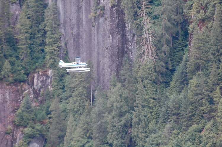 Ketchikan--Misty Fjords Tourist Float Plane Against Mt Side