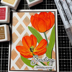 Orange Tulip BD Card