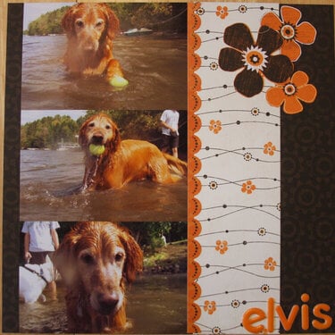 Elvis - The Water Dog pg 1