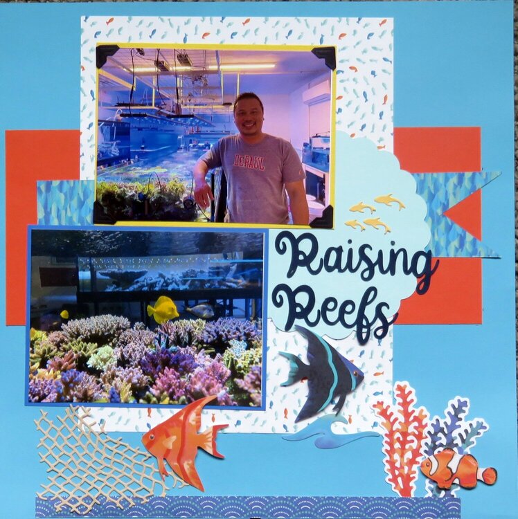 Raising Reefs