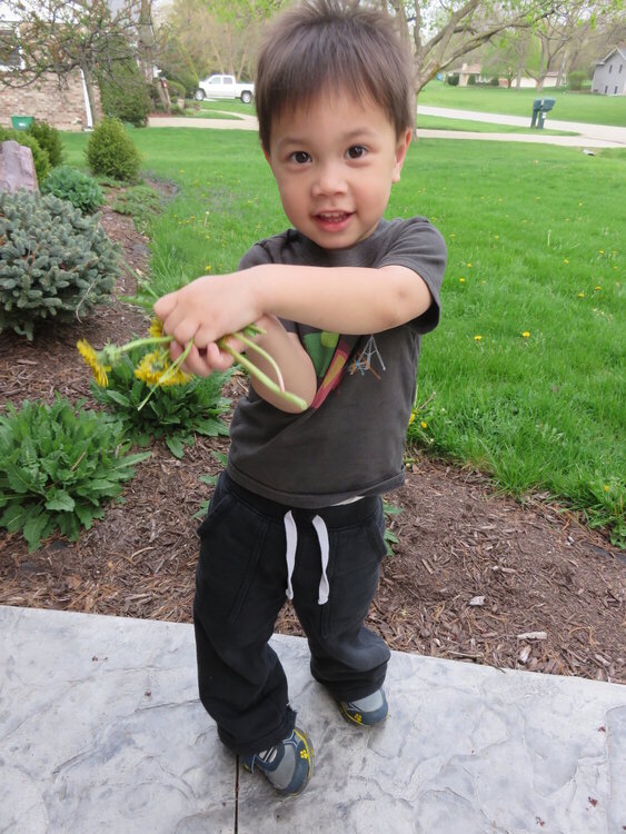 Flowers for Mommy