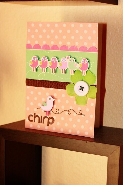 chirp ** My Little Shoebox**