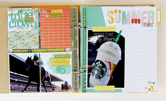 Summer 2015 SN@P! Binder | Simple Stories