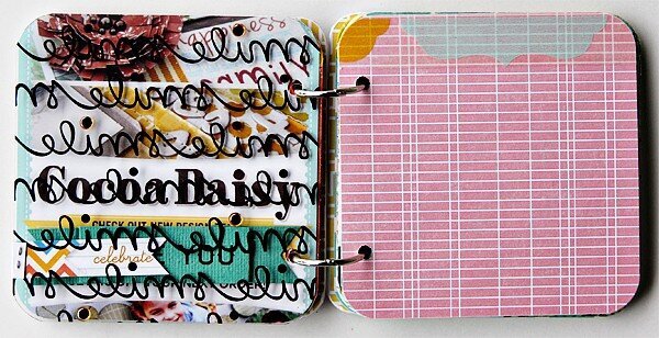 for the record mini book ~ COCOA DAISY FEB KIT