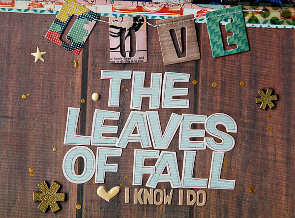 you gotta love the leaves of fall | COCOA DAISY JANUARY 2014