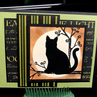 Cat Halloween Card