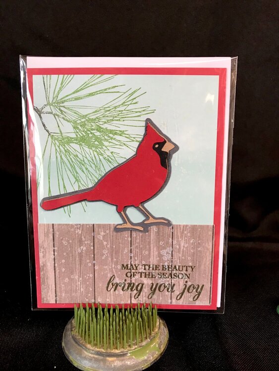 Christmas Cardinal Card