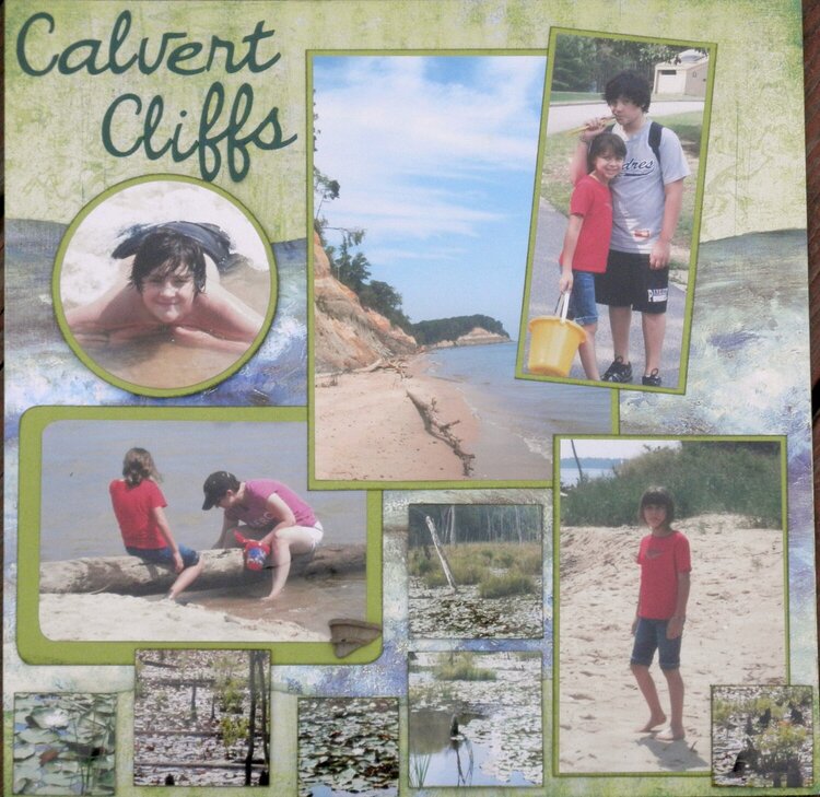 Calvert Cliffs Layout