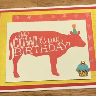 Cow Birthday Card