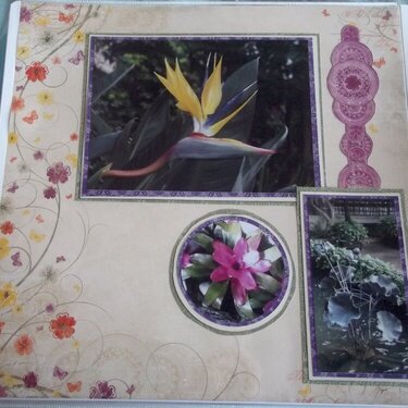 Longwood Gardens page 16