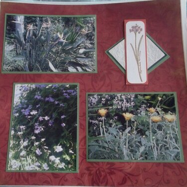 Longwood Gardens page 8