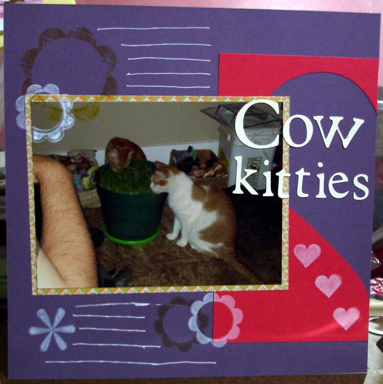 Cow kitties