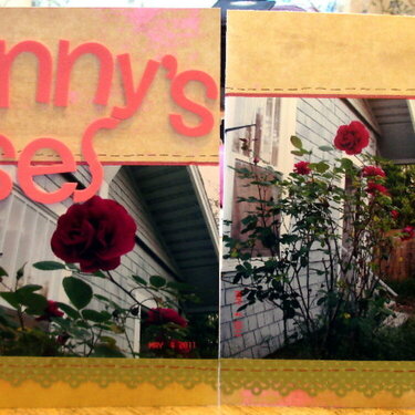 Granny&#039;s roses