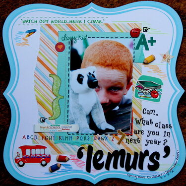 Lemurs class