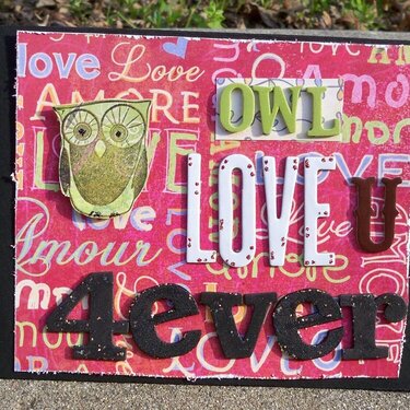 Owl love u 4ever