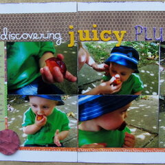 discovering Juicy Plums