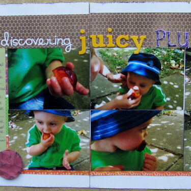 discovering Juicy Plums