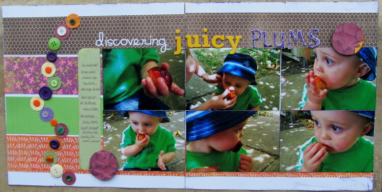 discovering Juicy Plums