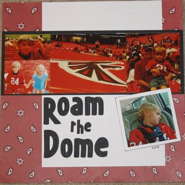 Roam the Dome