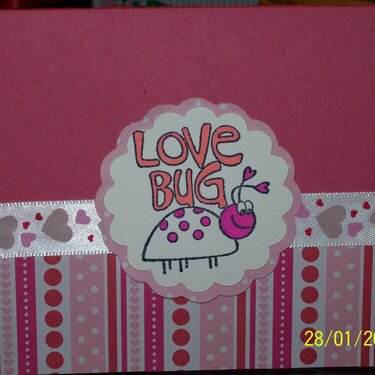 Lady bug Valentines Day card