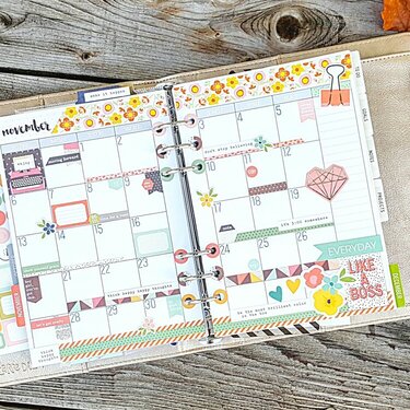 Carpe Diem Planner November