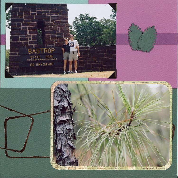 Bastrop Album Page 4