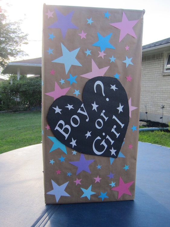 Gender Reveal Box (it was a GIRL)