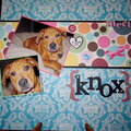 meet Knox