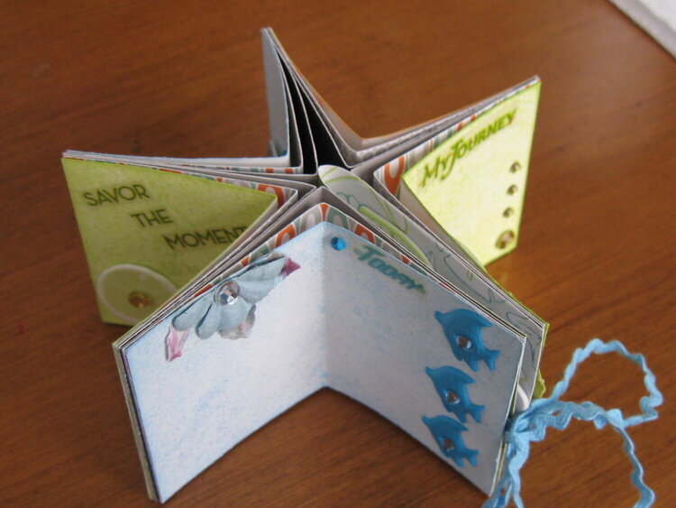 Teeny Star Book - Summer/Beach Theme