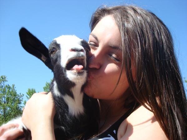 Goat kiss