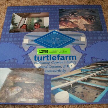 The turtle Farm