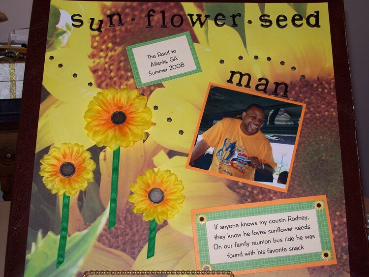 Sun Flower Seed Man