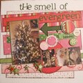 the smell of evergreen