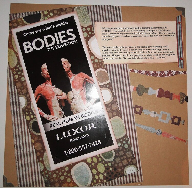 Bodies Exhibit - Vegas