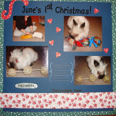 Our Bunny&#039;s 1st Christmas