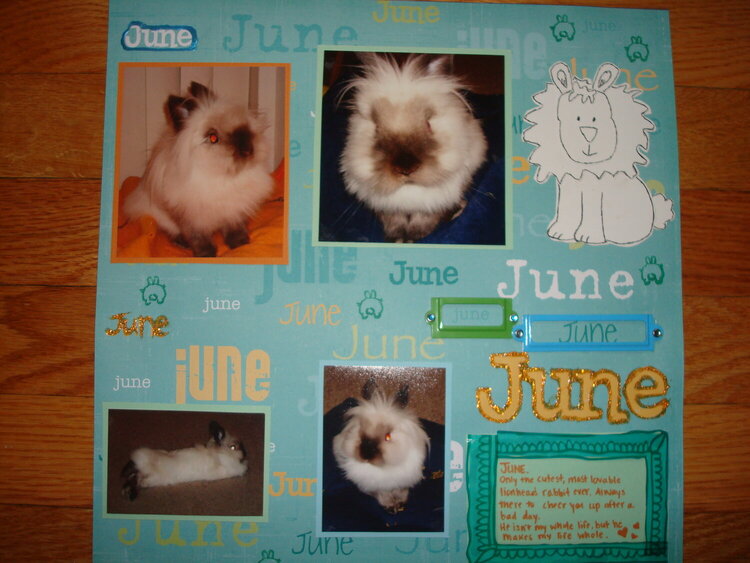 My Pet Rabbit June