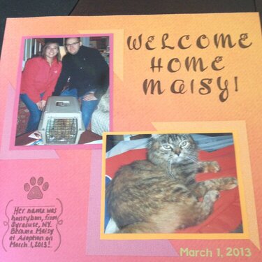 Welcome Home Maisy!