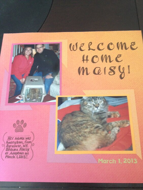 Welcome Home Maisy!
