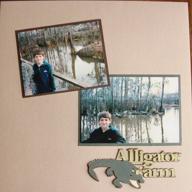 Alligator Farm   Rt Side
