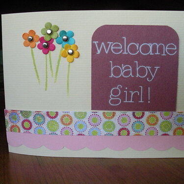 Welcome Baby Girl!