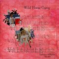 Wild Horse Gang